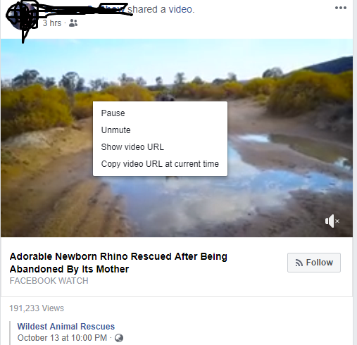 Facebook video address